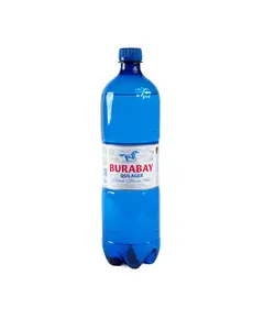 Минеральная вода Qulager Burabay 1 л 303 Turan, фирменный магазин