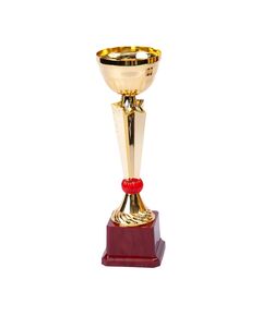 Кубок золотистый №2 большой 7800 Империя sporta, ​отдел спортивных товаров