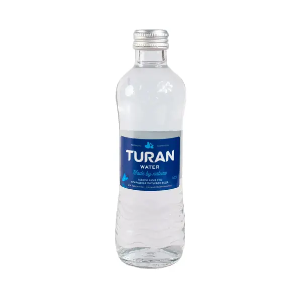 Минеральная вода газированная Turan 0,5 л (стекло) 375 Turan, фирменный магазин