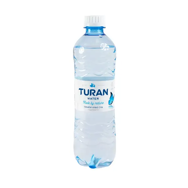 Минеральная вода негазированная Turan 0,5 л 178 Turan, фирменный магазин