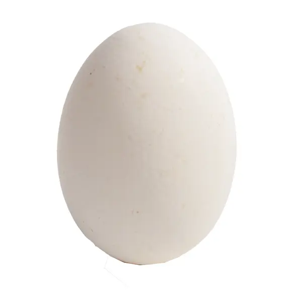 Яйцо куриное С1 600 Avokado.kz, интернет-магазин